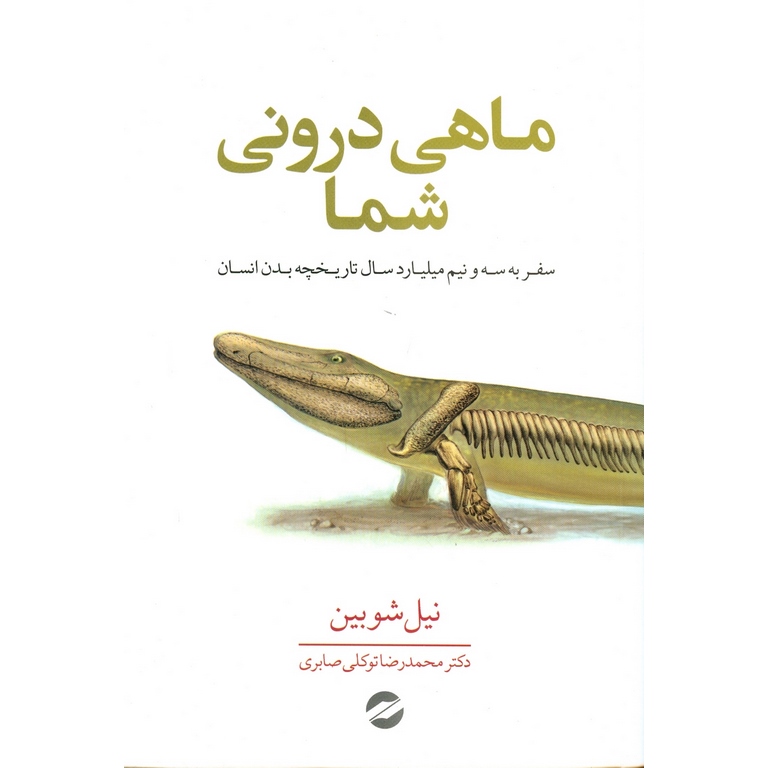 ماهی درونی شما