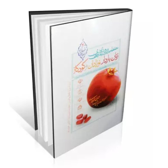 کتاب حفظ سلامتی و درمان بیماری های زنان باردار ، نوزادان و کودکان (تدبیر الحبالی)