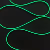 نئون فلکسی سبز متری 100هزار