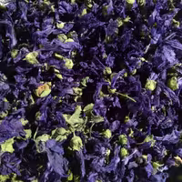 گل پنیرک(80g)طبیب