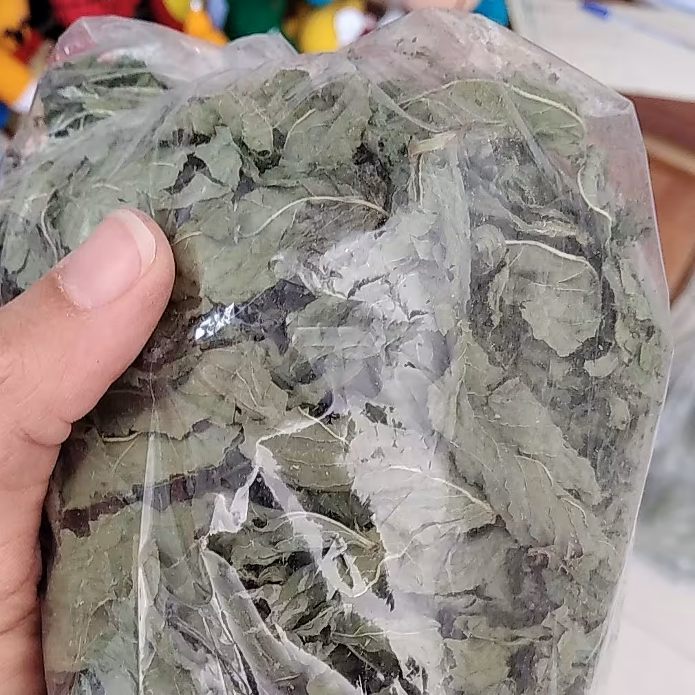 نعنا خشک شده