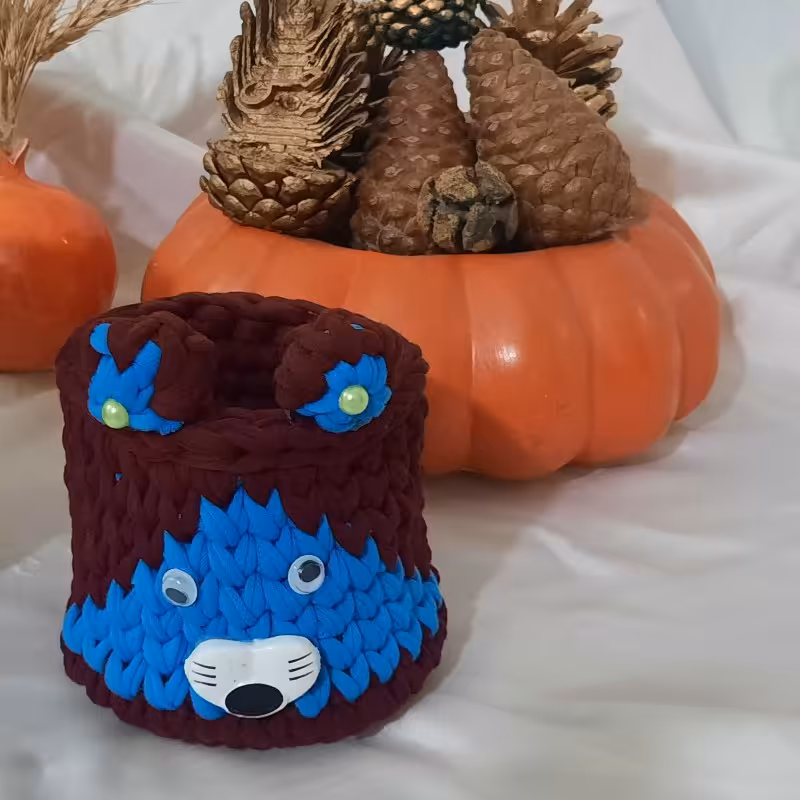 باکس ست نظم دهنده زیبا