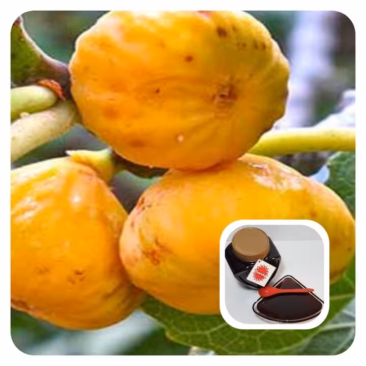 شیره انجیر امسالی درجه یک خانگی و صددرصد خالص 3کیلویی (دوشاب سنتی اسکو) تهیه شده با روش سنتی در دیگ مسی و آتش هیزم