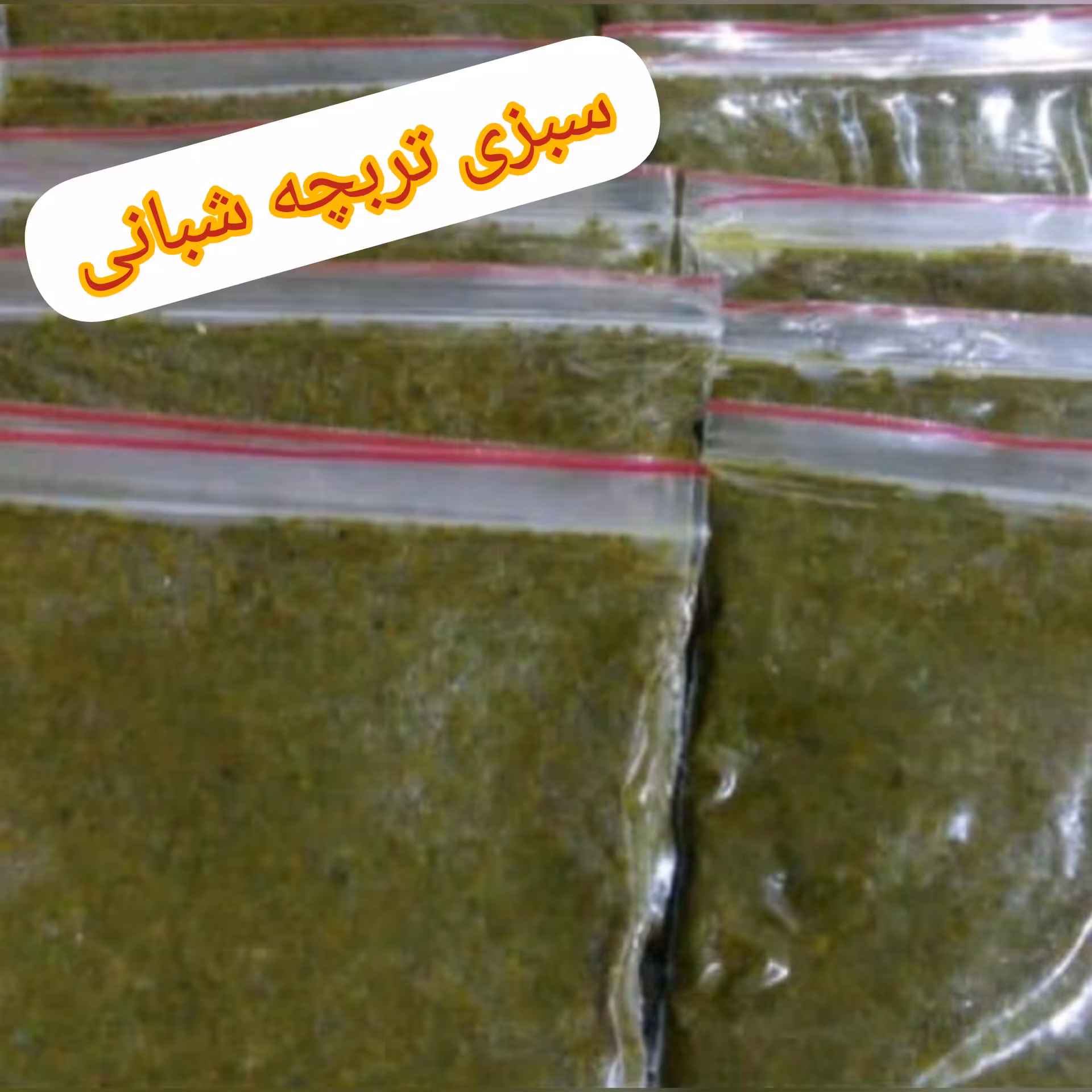 سبزی قورمه سبزی  سرخ شده 