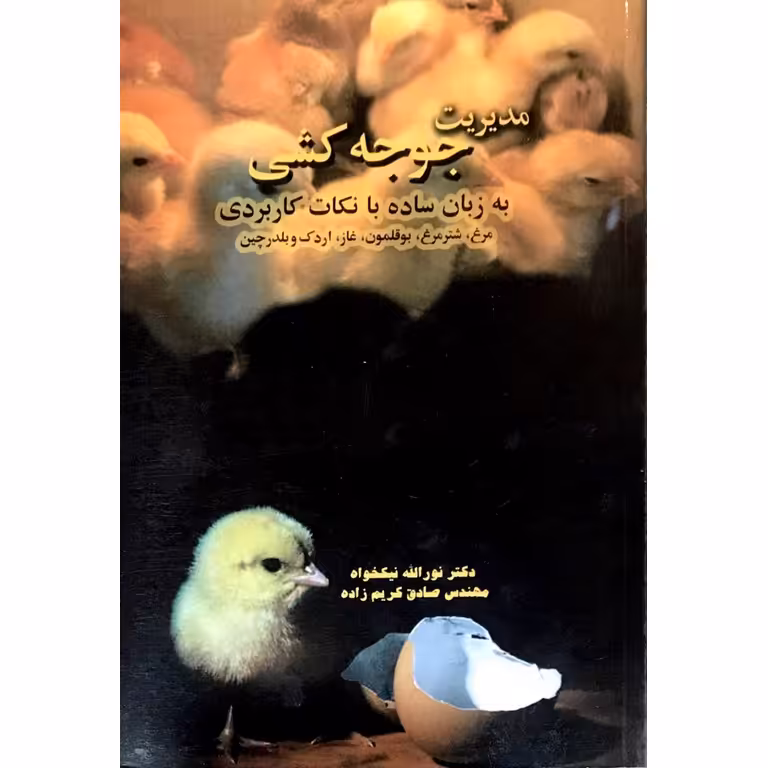 مدیریت جوجه کشی به زبان ساده با نکات کاربردی