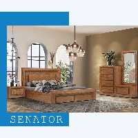 سرویس خواب سناتور