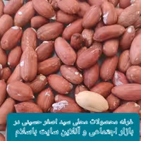 بادام زمینی آستانه اشرفیه تازه برداشت شده  وبرشته روز محصول سال1403نیم کیلو یی