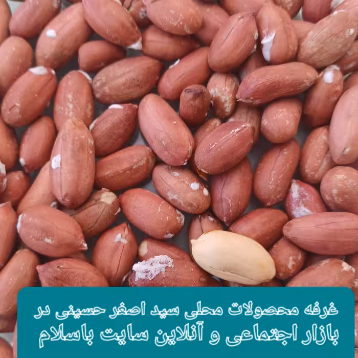 بادام زمینی آستانه اشرفیه تازه برداشت شده  وبرشته روز محصول سال1403نیم کیلو یی