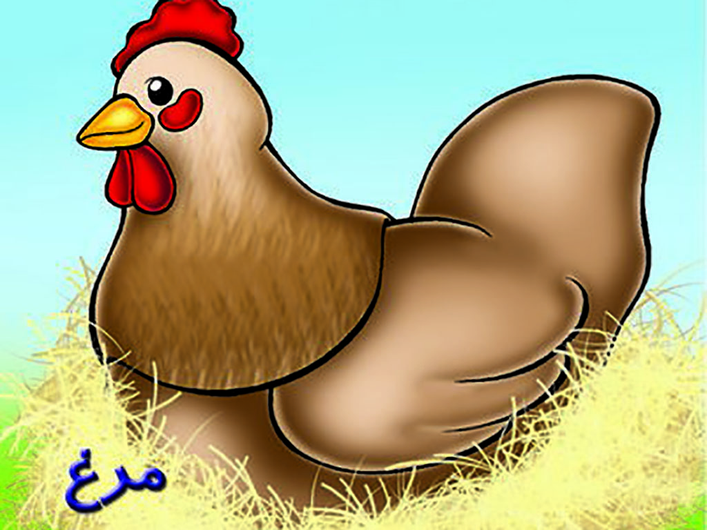 کتاب آموزش خردسالان( مرغ)