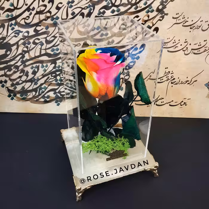 رز جاودان ساقه دار با باکس سنگ مرمر