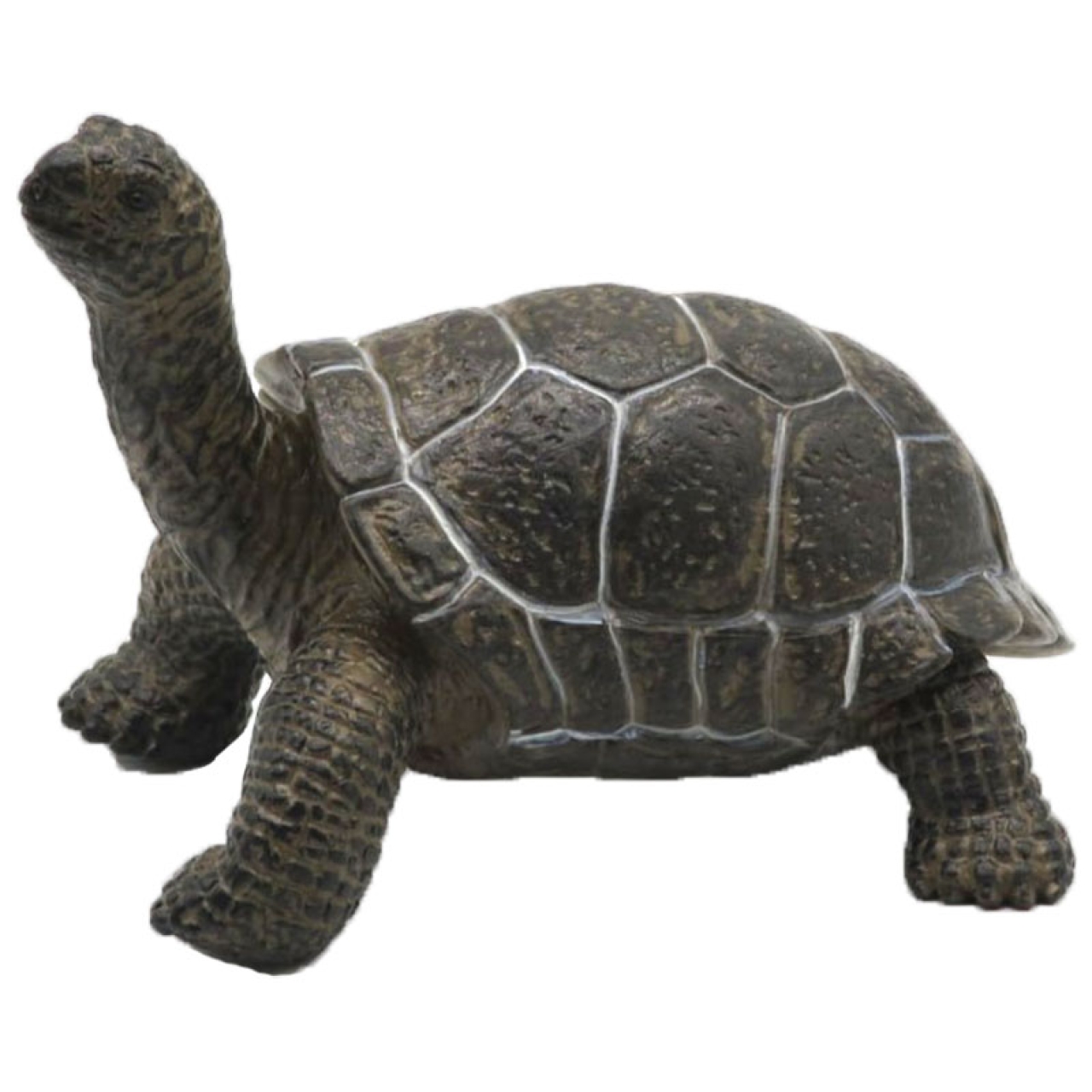 فیگور مدل لاکپشت خشکی کد 2