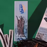 غلاف وانیل ماداگاسکار -بسته10 عددی لوبیای وانیل مرغوب(پلانیفولیا)  