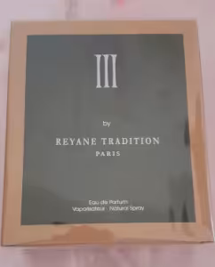 ادکلن رایان تردیشن 3 RAYAN TRADITION با رایحه تق هرمس