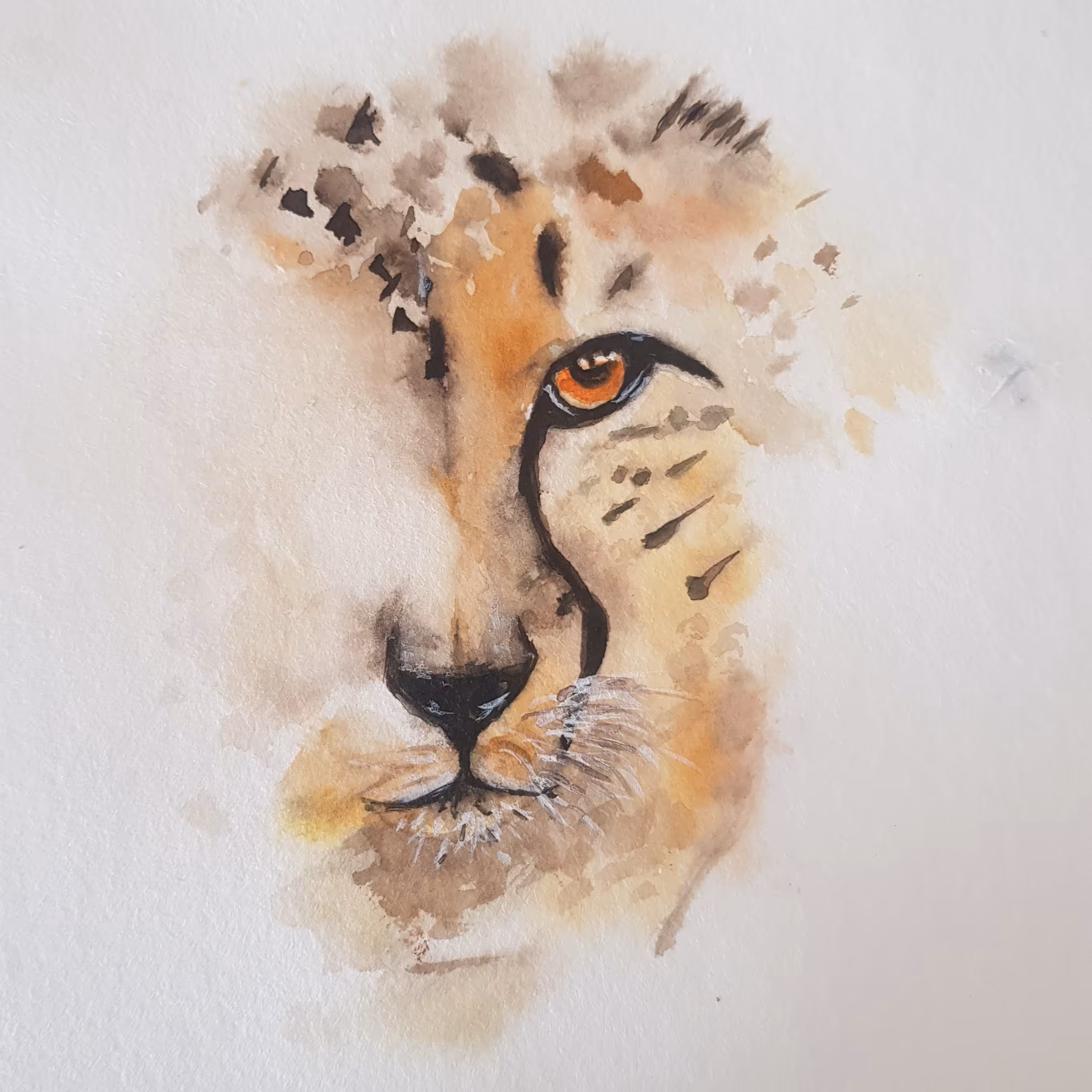 نفاشی آبرنگ پلنگ 25در15 مقوا واترکالریست آبرنگ سنتپترزبورگ بدون قاب