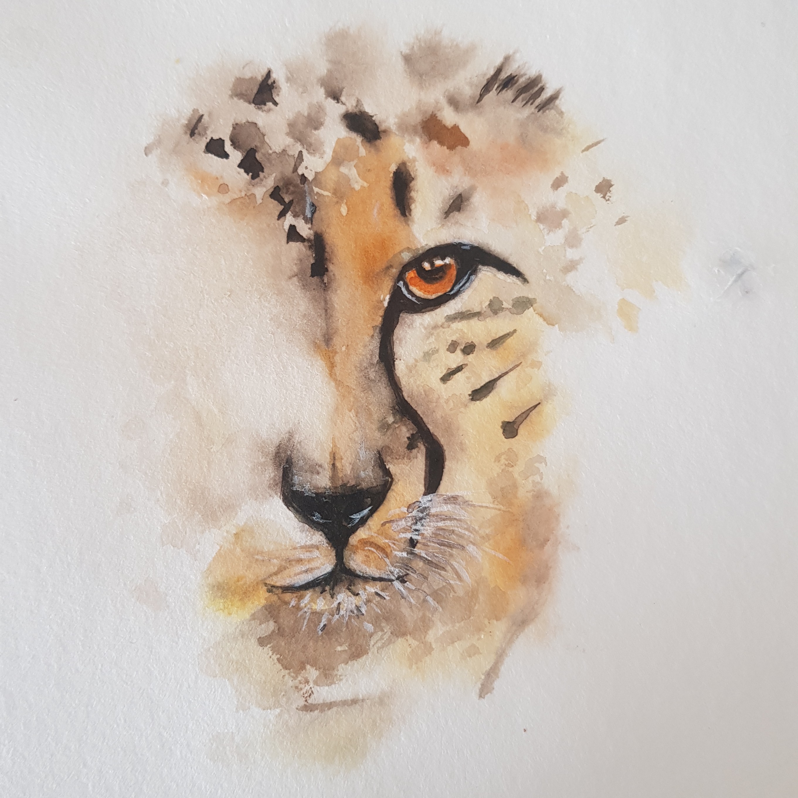 نفاشی آبرنگ پلنگ 25در15 مقوا واترکالریست آبرنگ سنتپترزبورگ بدون قاب