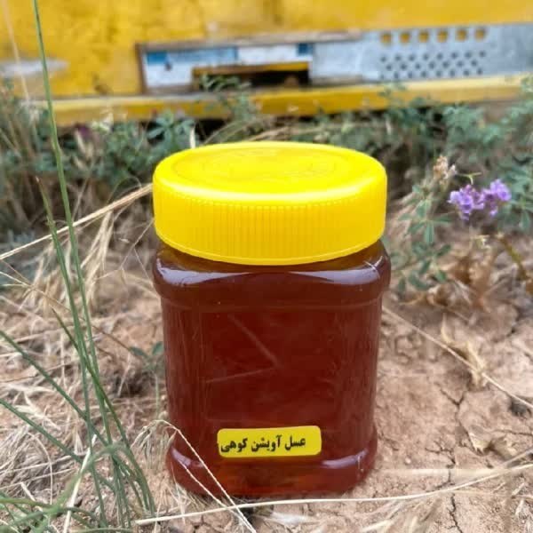 عسل آویشن کوهی پرولین بالای 1000 (نیم کیلویی)