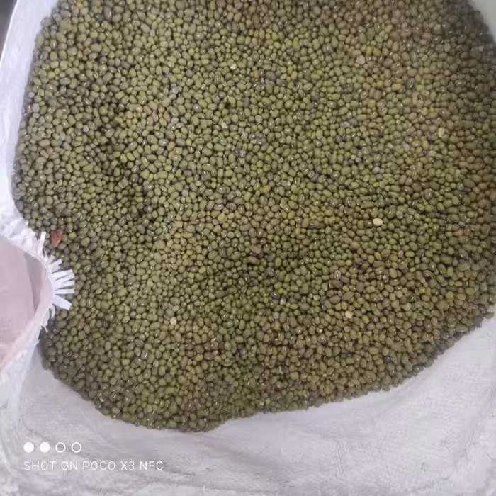 ماش درجه یک 