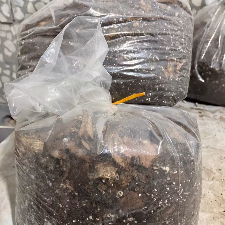 خاک درجه یک و ممتاز گیاهان آپارتمانی(هزینه ارسال بصورت پس کرایه به عهده مشتریست)