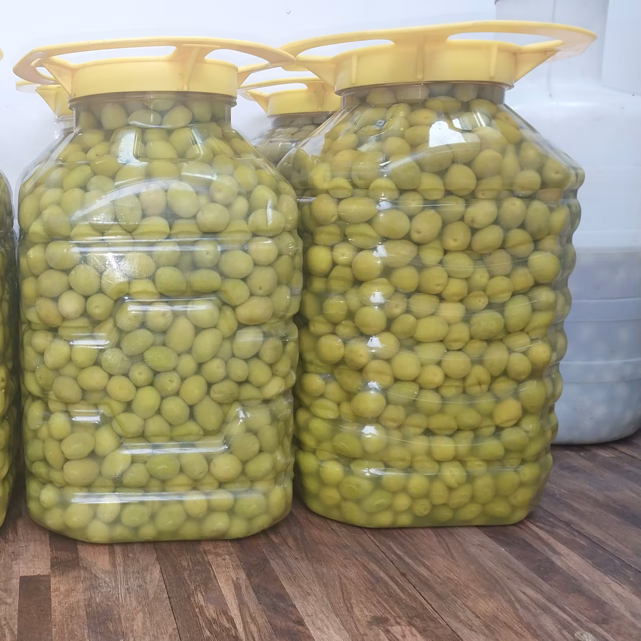 زیتون کنسروی.7کیلویی.ممتاز