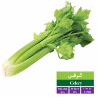 بذر کرفس  بذر طلایی رویان (یک بسته)