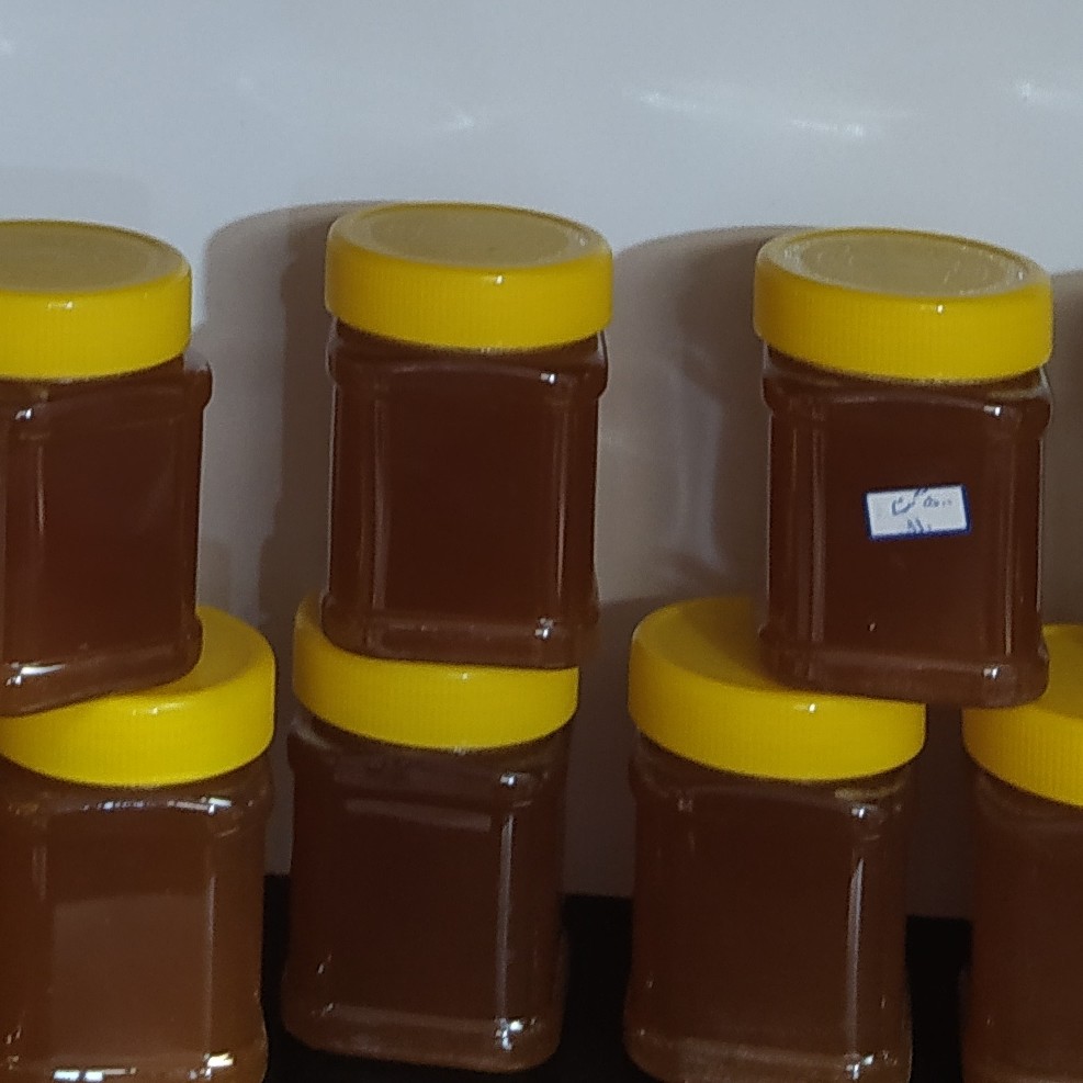 عسل طبیعی ارگانیک بدون واسطه از زنبورداری با در صد خلوص بالا