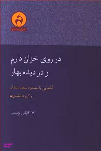 در روی خزان دارم و در دیده بهار