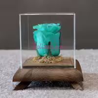رز جاودان چهار فصل