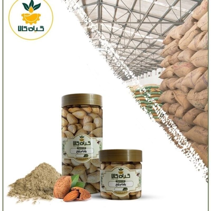 میوه بادام تلخ با کیفیت عالی، بار امسالی و تازه(65گرمی )