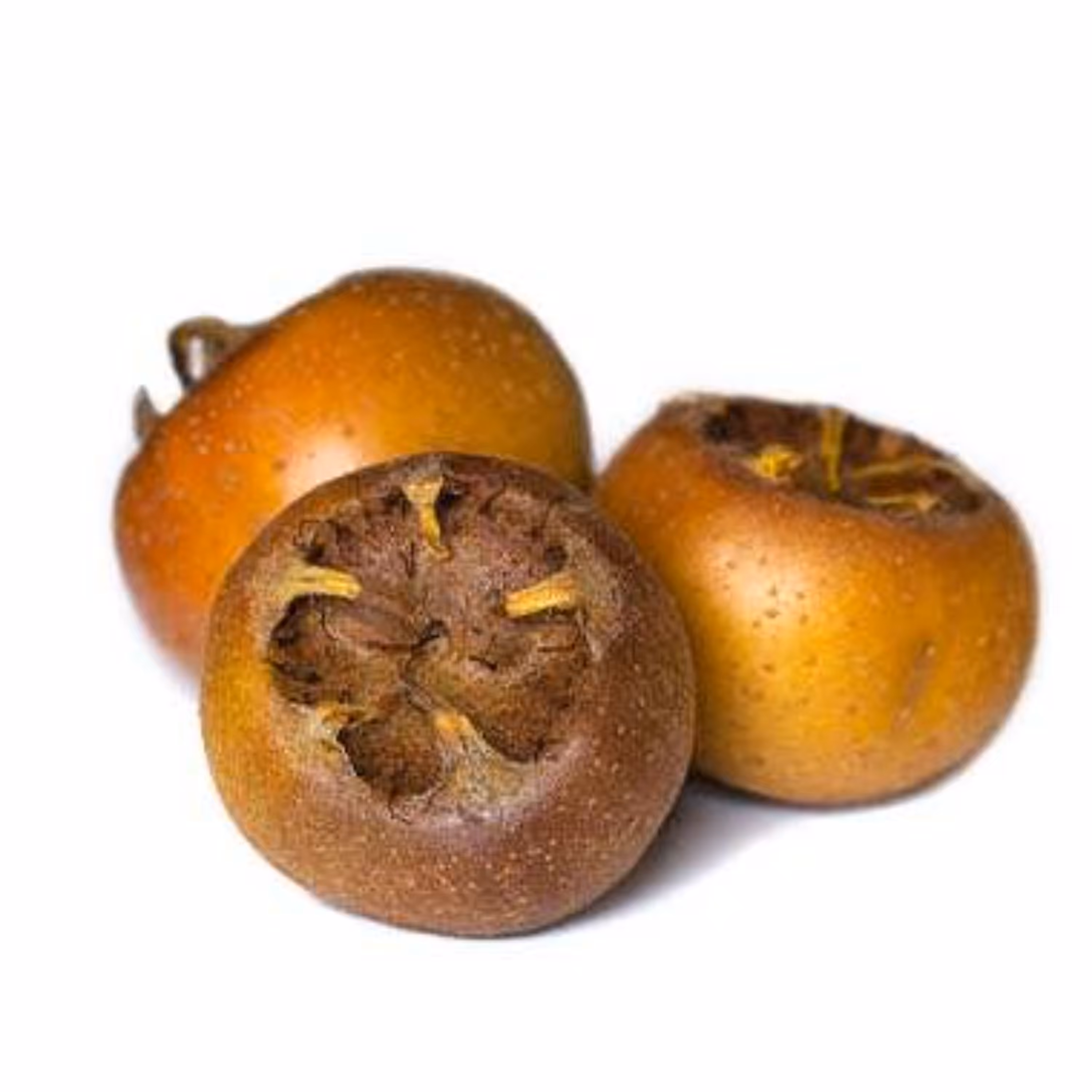 بذر ازگیل 10 عددی