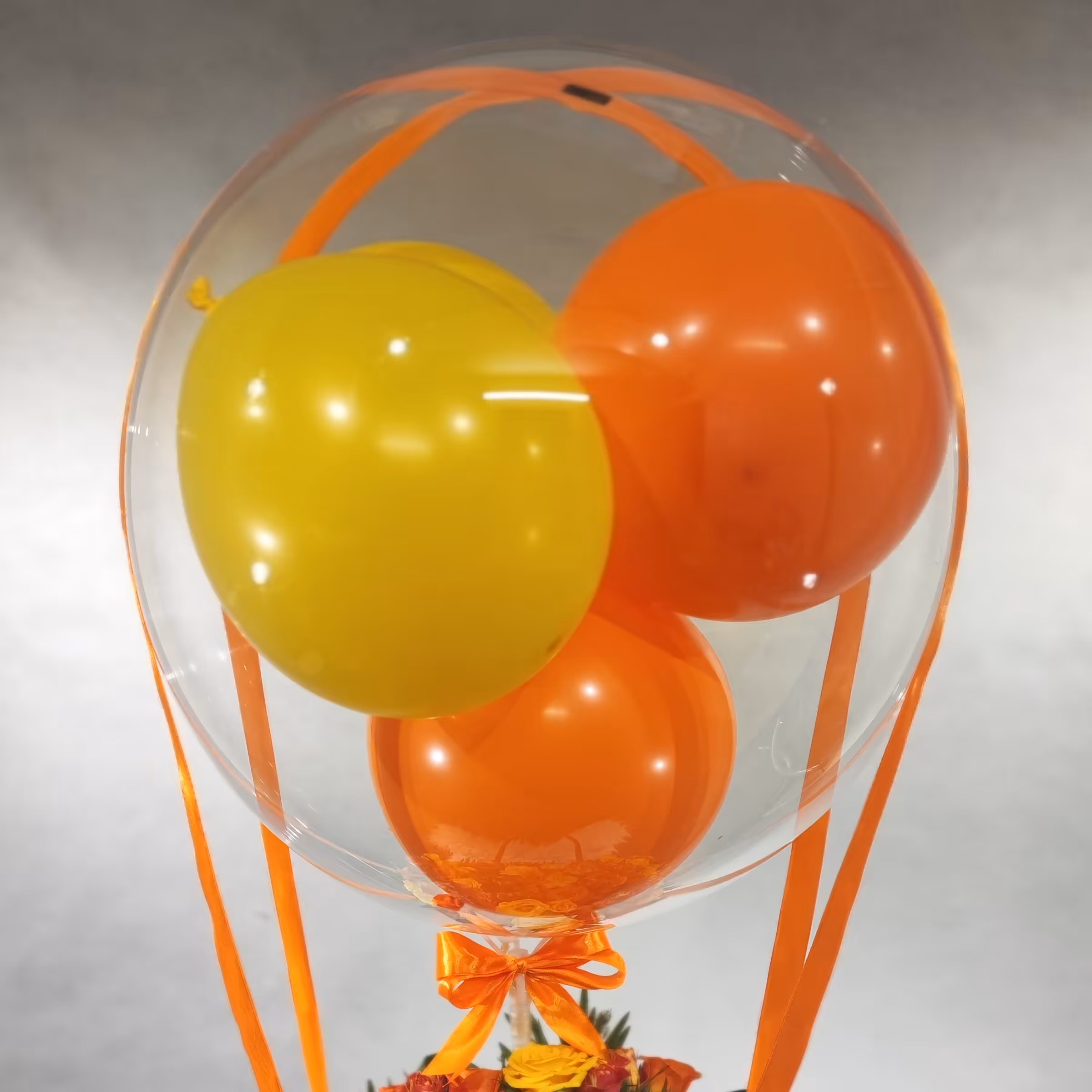 بوبوبالن  تولد