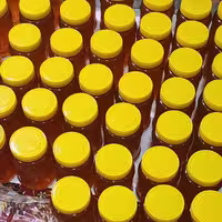 عسل جاوید