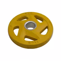 وزنه صفحه هالتر فرمانی رنگی 5 کیلوگرمی