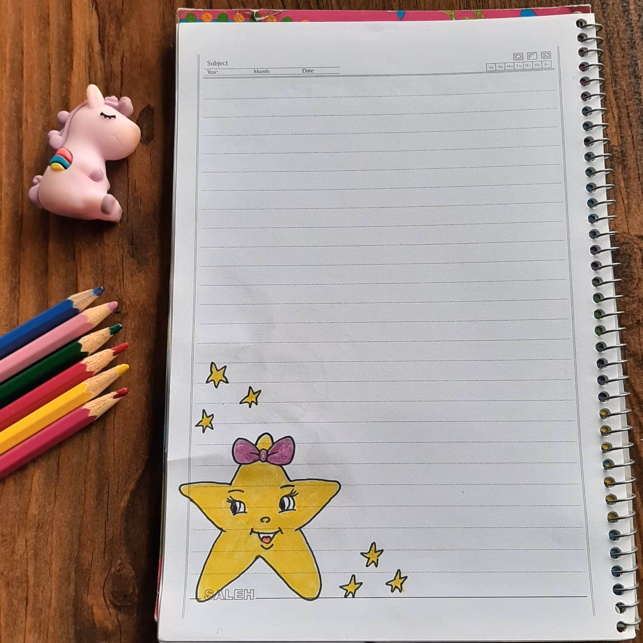 دفتر مشق نقاشی شده  با دست و رنگ آمیزی شده با مداد رنگی 50 برگ