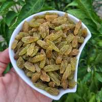 کشمش سبز قلمی یک کیلویی