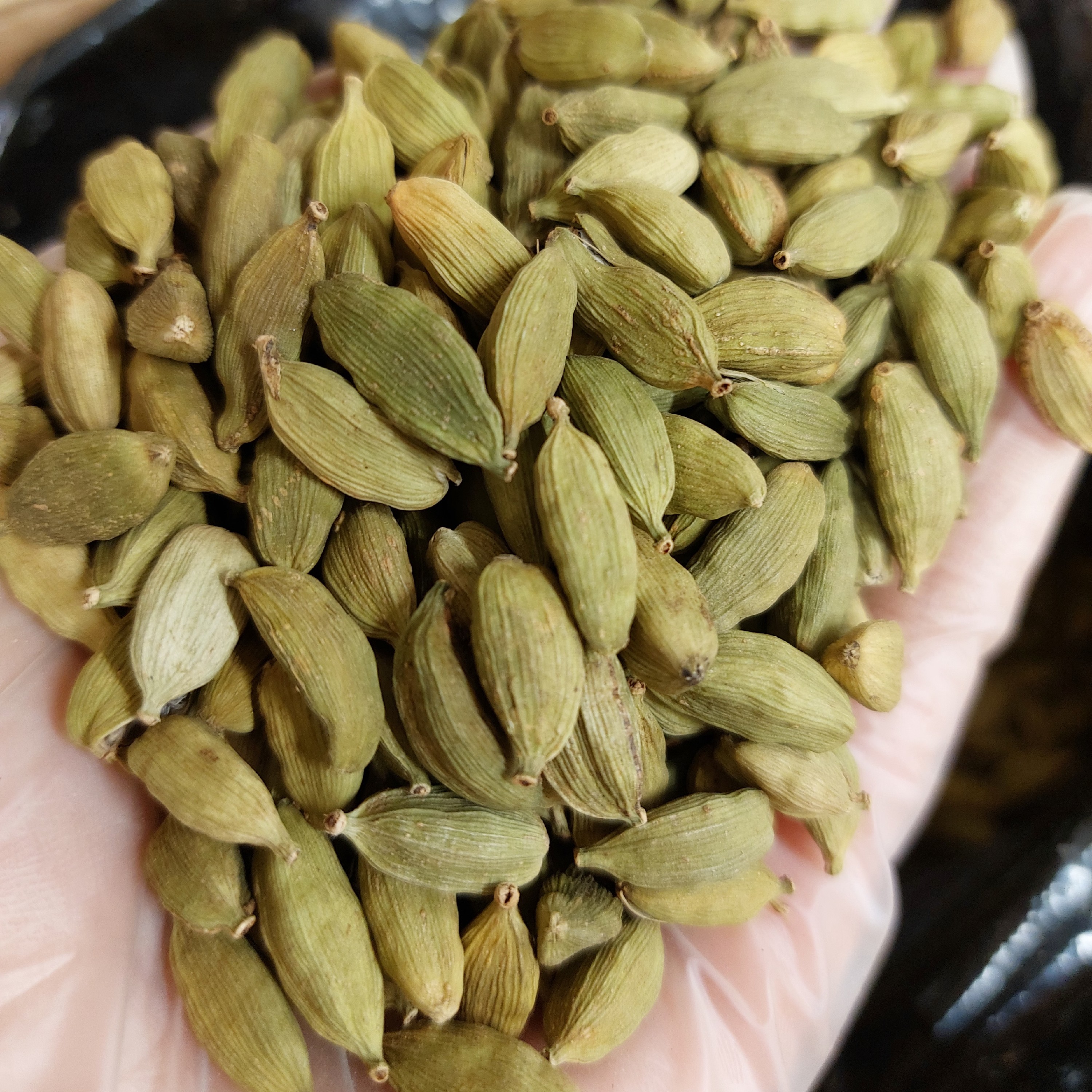 هل JLG گواتمالا (5کیلوگرم)