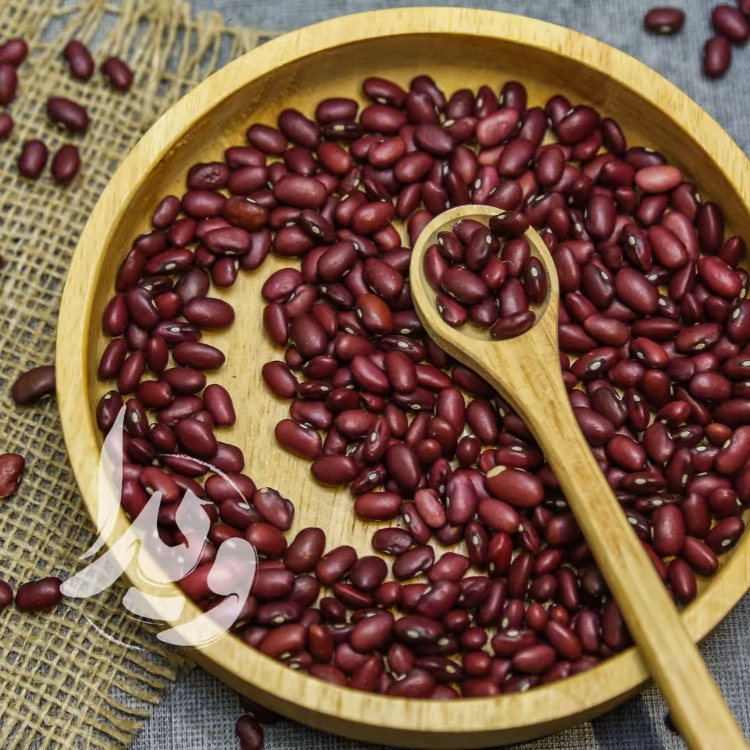 لوبیا قرمز ویدا ( 500 گرمی ) بسته بندی پاکتی