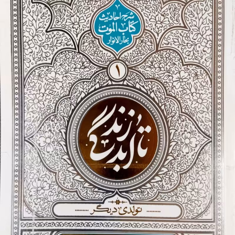 تا ابد زندگی (جلد اول)