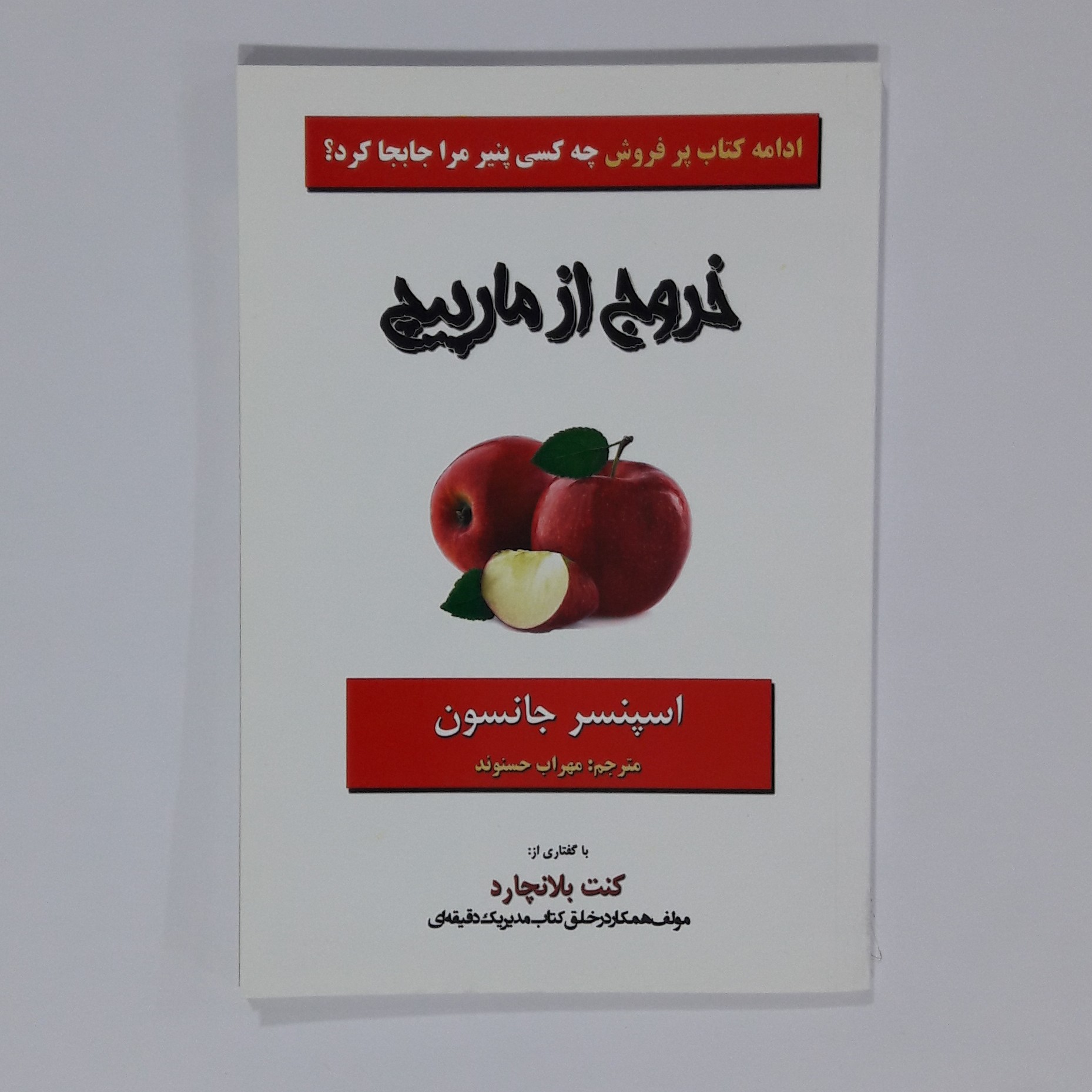 کتاب خروج از مارپیچ دکتر اسپنسر جانسون