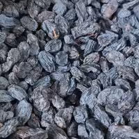 مویز 100 گرمی