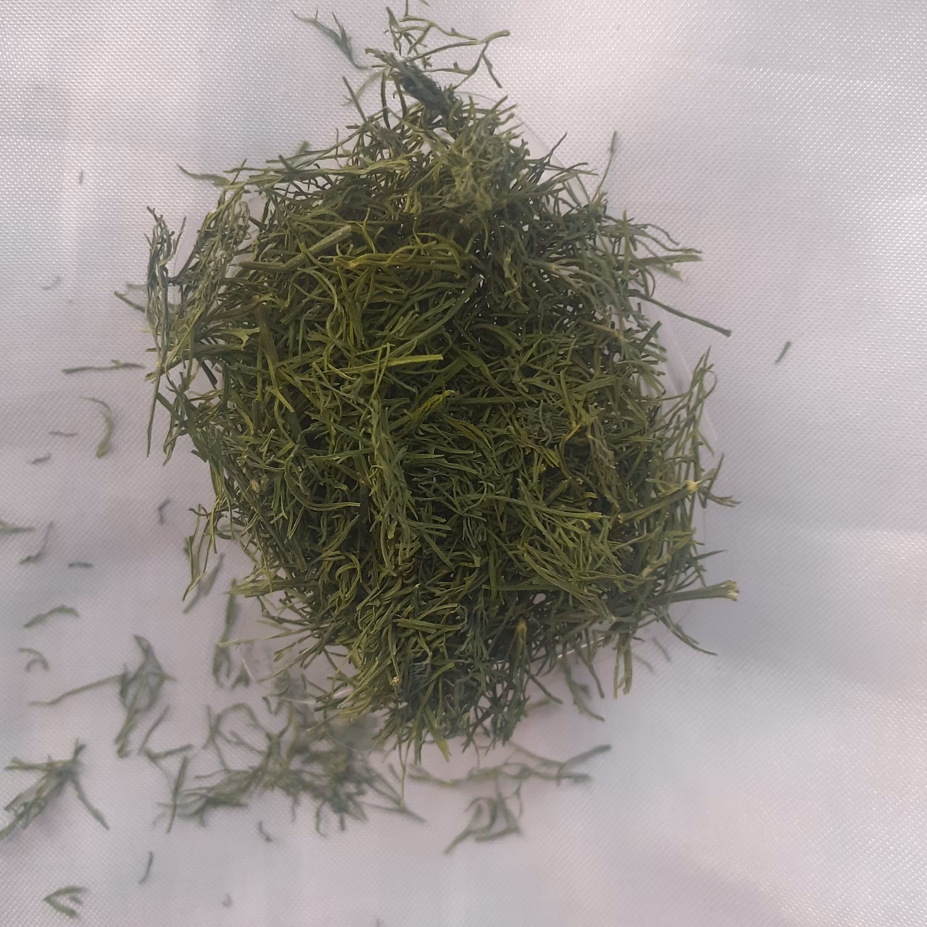 شیوید خشک محصولات خانگی و درجه یک  شیوا