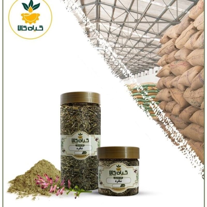 گیاه شاهتره با کیفیت عالی، بار امسالی و تازه(5کیلوگرم)