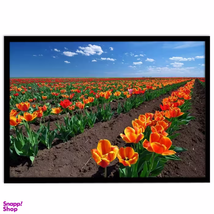 تابلو نوری بکلیت طرح طبیعت دشت گل لاله مدل B-S1108