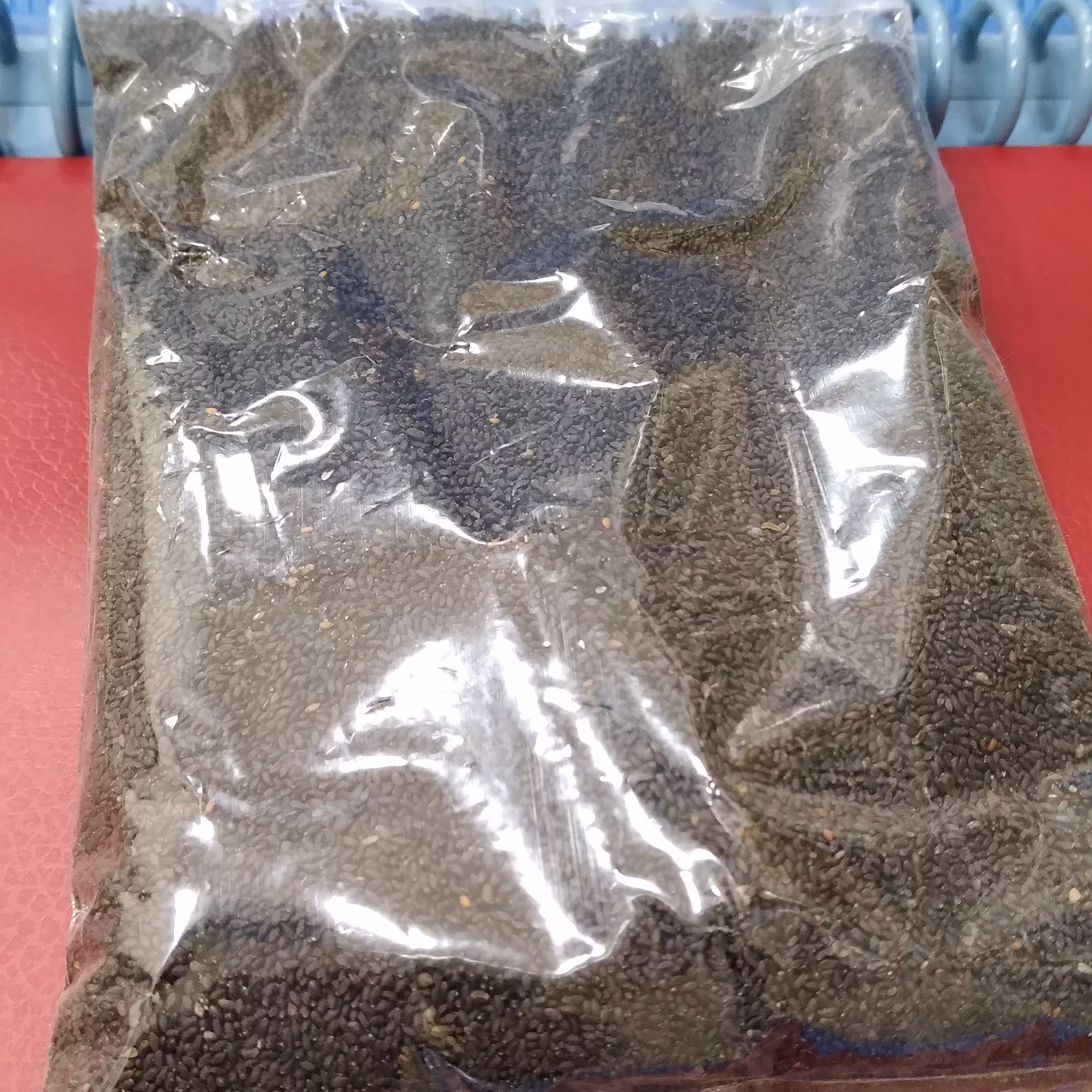 تخم شربتی ریز