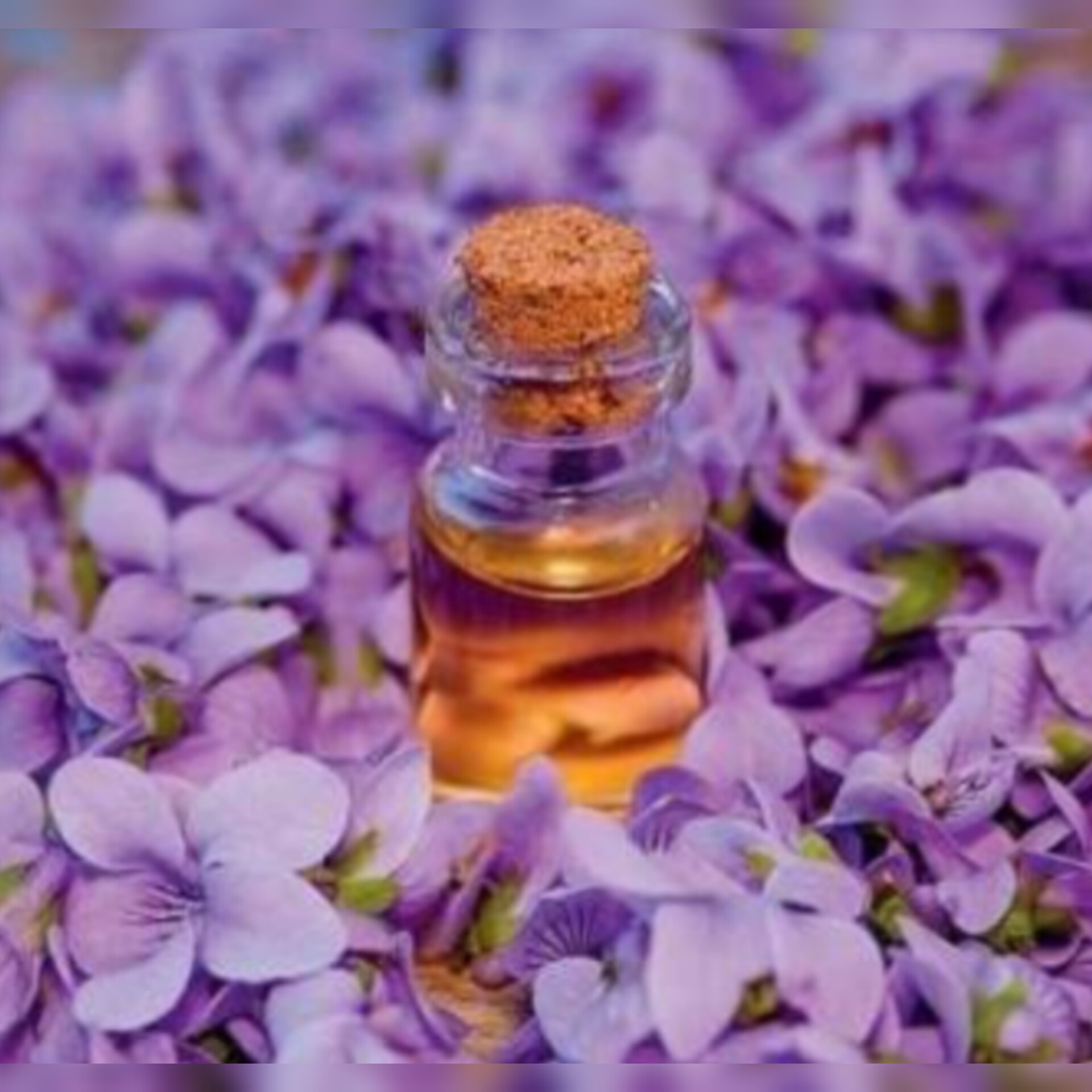 روغن بنفشه کنجدی 30 سی سی