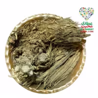 ریشه بابا آدم اعلاء دیار(75گرمی) 