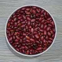 لوبیا قرمز درجه یک