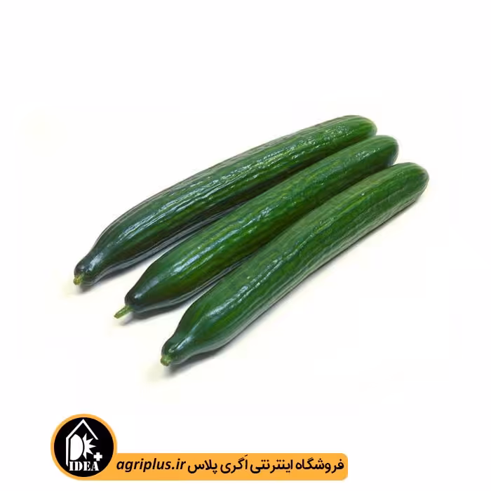 بذر خیار درختی بسته بندی خانگی