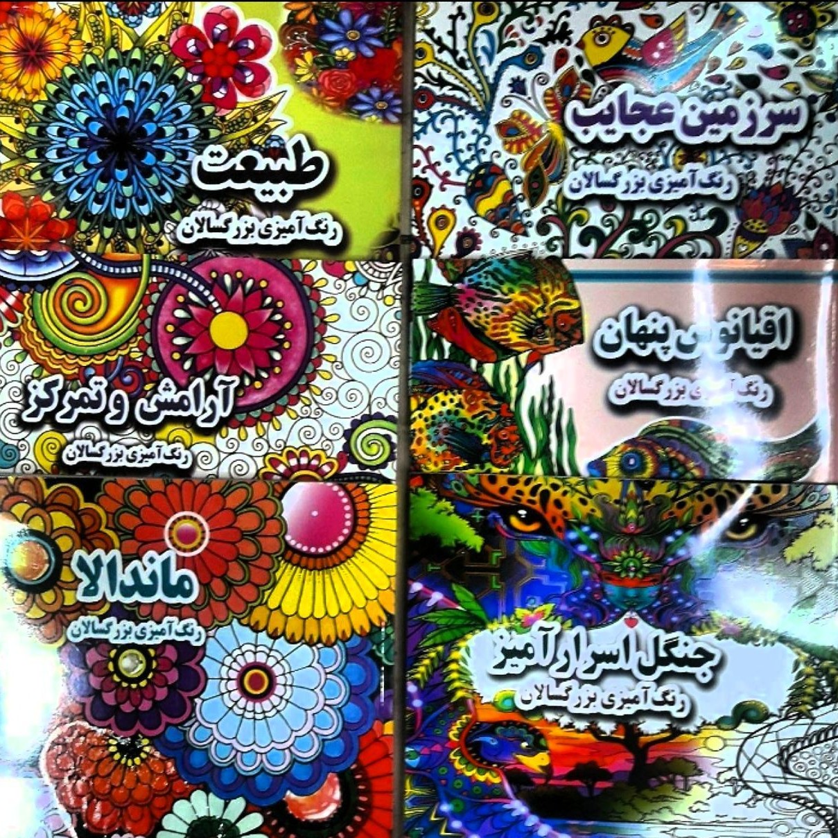 رنگ آمیزی بزرگسالان پر برگ قطع خشتی (مانداناآرامش و تمرکز اقیانوس پنهانطبیعتجنگل اسرار آمیزسرزمین عجایب)