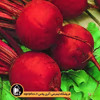 بذر چغندر لبویی خامنه
