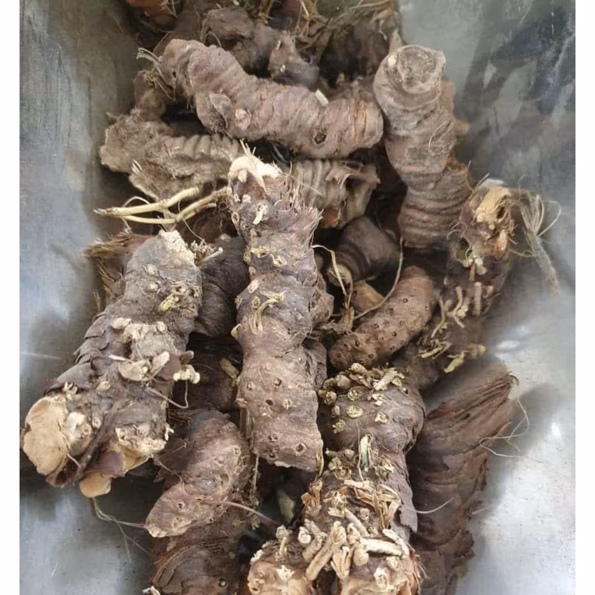 ریشه ایرسا ریشه زنبق 500 گرم 